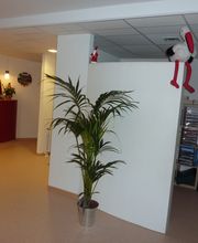 Ramona Hinterland Fachärztin für Kinder- und Jugendpsychiatrie Bild 4