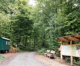 FriedWald Wiesenbach Bild 6