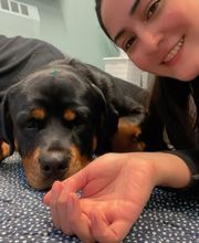 Paumanok Veterinary Hospital image 12