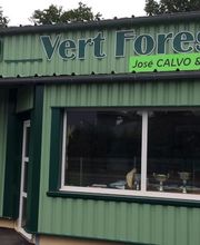 Vert Forest Fils image 3