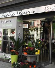 Exotic Fleurs image 4
