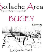 Bollache Arcan GAEC image 9