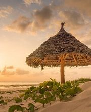 Die Reisegalerie GmbH Bild 11