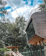 Tree Inn - Das Baumhaushotel Bild 1