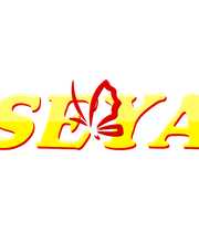 Seya Informatique image 5