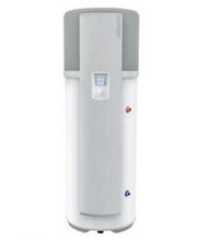 Saveant Patrick image 3