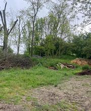 En Vie...d'Arbres image 2