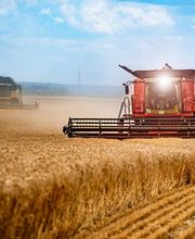 Agrargenossenschaft Schönberg e.G. Bild 1