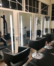 Eleos Electric image 2