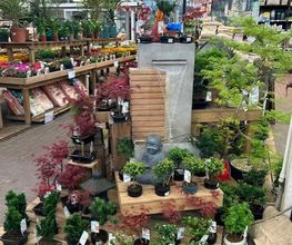 JARDILAND image 1