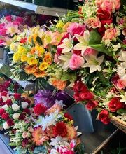 Bricomarché Gattieres image 6