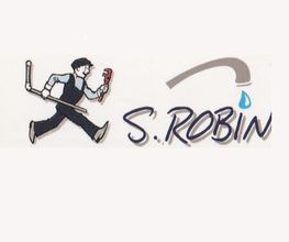 S Robin image 1