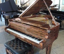 auch in Palisander ein Steinway & Sons Schmuckstück