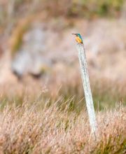 Fabien Boutet Photographies image 1