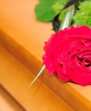 Sattler et Fils image 1