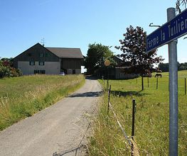 Krebs Vétérinaires SA Bild 5
