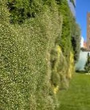 Residencia de Ancianos Simancas, Madrid | VITALIA HOME imagen 7