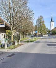 Heilpraxis für Homöopathie und Energetisches Heilen, Jeannette Desebrock Bild 4