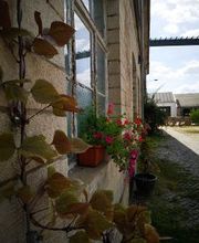 Nahaufnahme eines Fensters eines Backsteingebäudes.