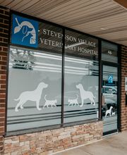 Stevenson Village Veterinary Hospital image 16