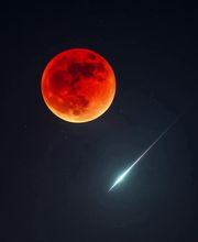 Mercier Alain image 14