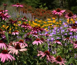 Kelpe Gartenbau Bild 1