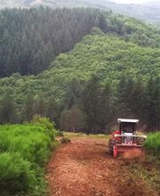 ALLIANCE Forêts Bois image 6