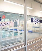 Big Blue Swim School image 3