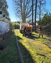 Sempervirens image 8