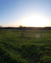 Pension de la Terre du Milieu image 7