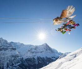 First Glider Bild 4