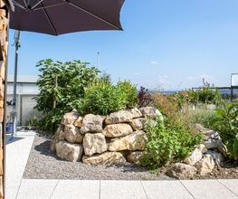 Brenner AG Gartenbau Bild 6