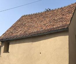 Schatzhabitat image 15