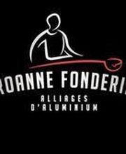 Roanne Fonderie Aluminium image 5