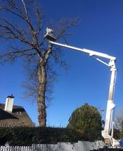 Bouche Nicolas image 1