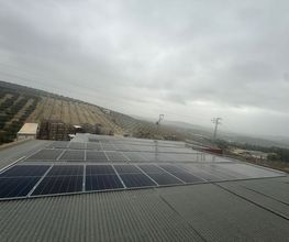 228857603-1-9c3nH7h1Uy1770378246477.jpeg