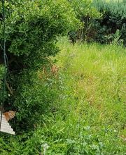 Schäfer Haus- und Gartenservice Bild 10