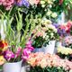Blumenhaus Oberhaching
