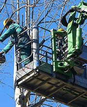 Marechal Elagage image 1