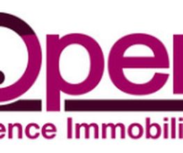 Open Immobilier image 4