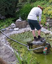 BRÜHWILER-GARTENBAU, BAUMPFLEGE Bild 4