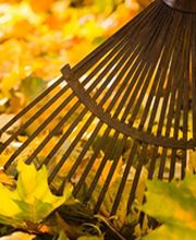 Depann Emploi image 2