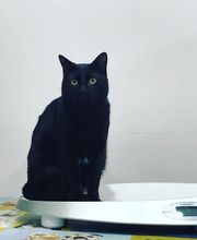 300435393-0-EFH1YRVUHj1777989390280.jpeg