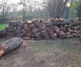 Garten-Landschaftsgärtner mit Hausmeisterservice Udo Nöll Bild 9