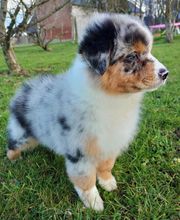 Domaine du Bois de Château image 1