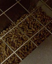 Racher Christophe image 2