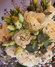 Blumen Schweizer Bild 4