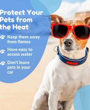 Morrow Insurance Group, Inc. image 16