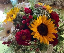 Blumen Kaiser Bild 7