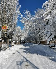 Hôtel Le Saint-Jean image 7